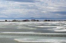 Herschel Island httpsuploadwikimediaorgwikipediacommonsthu