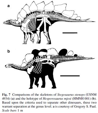 Hesperosaurus Species New to Science Paleontology 2001 Hesperosaurus mjosi
