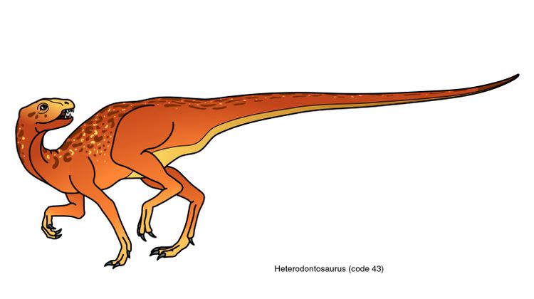 Heterodontosauridae Natuurinformatie Heterodontosauridae