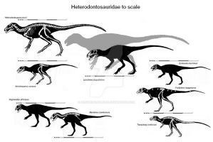 Heterodontosauridae t15deviantartnetFWHVK4PNpOVgxaEIeTQRzkA32w30