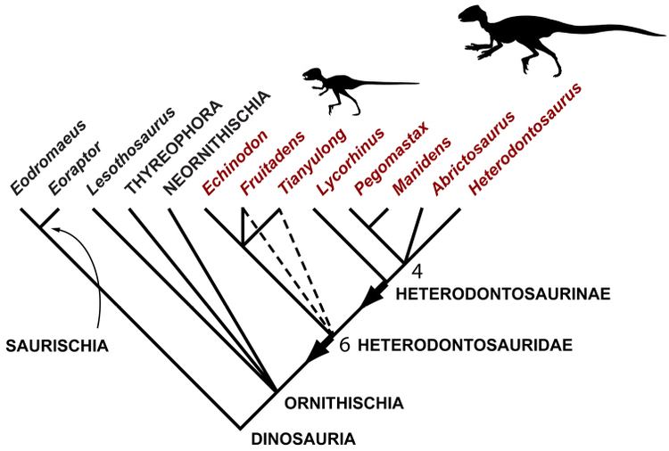 Heterodontosauridae 1000 images about Heterodontosauridae on Pinterest Africa World