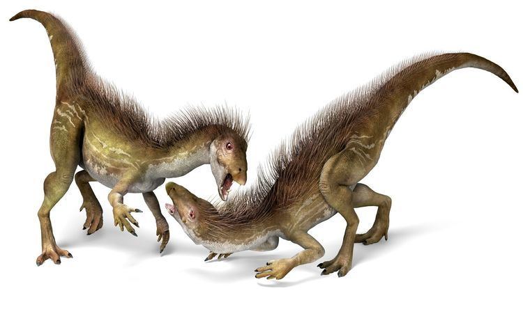 Heterodontosaurus Heterodontosaurus Facts For Kids DK Find Out