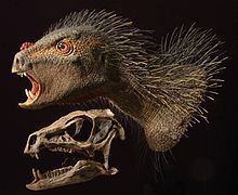 Heterodontosaurus httpsuploadwikimediaorgwikipediacommonsthu