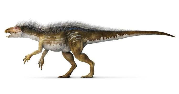Heterodontosaurus Heterodontosaurus Facts For Kids DK Find Out