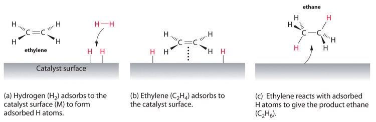 Heterogeneous catalysis Organic Synthesis International Heterogeneous catalysis and