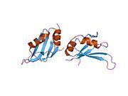 Heterogeneous nuclear ribonucleoprotein A1 httpsuploadwikimediaorgwikipediacommonsthu