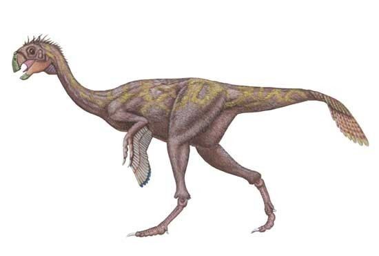 Heyuannia Heyuannia Pictures amp Facts The Dinosaur Database