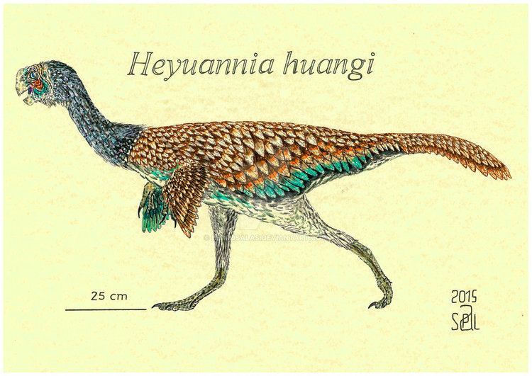Heyuannia Heyuannia huangi by PedroSalas on DeviantArt