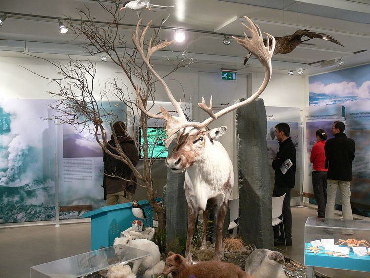 Höfn Glacier Museum