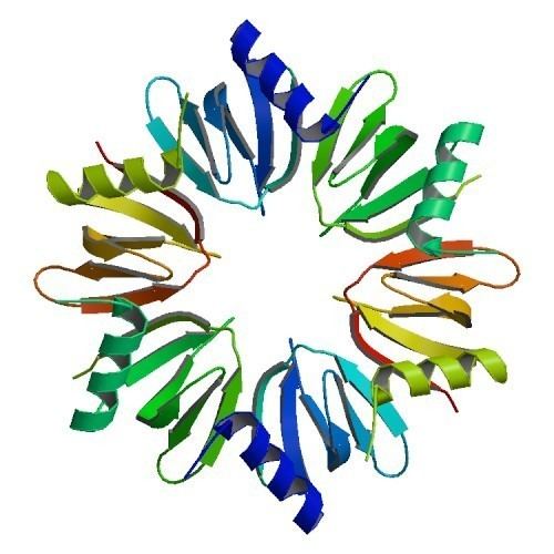 Hfq protein RCSB PDB 3HFO Crystal Structure of an Hfq protein from