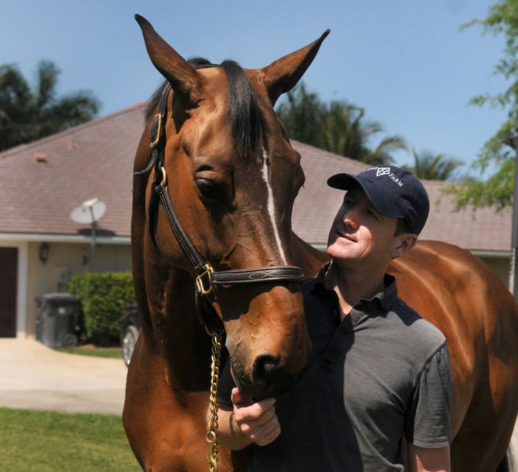 HH Azur McLain Ward In HH Azur we found something very special World of