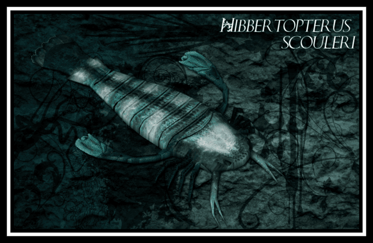 Hibbertopterus Hibbertopterus