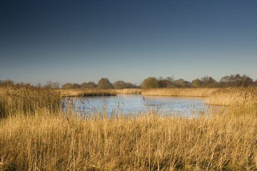 Hickling Broad Hickling Broad Norfolk Wildlife Trust