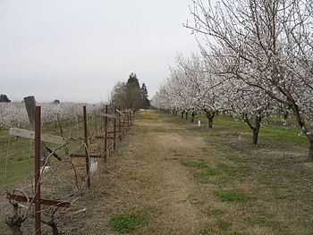 Hickman, California httpsuploadwikimediaorgwikipediaenthumb1