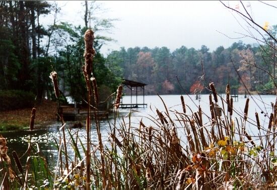 Hickory Hills Lake