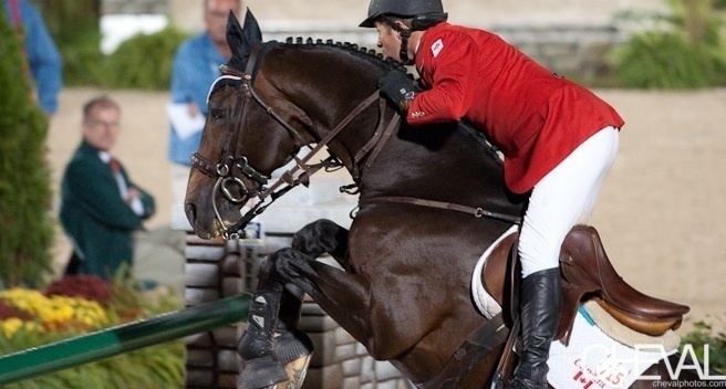 Hickstead (horse) 1000 images about Hickstead on Pinterest Beijing Canada and