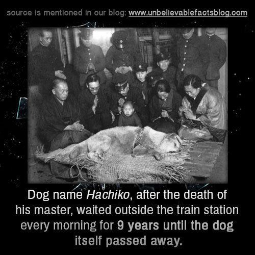 Hidesaburō Ueno Unbelievable facts