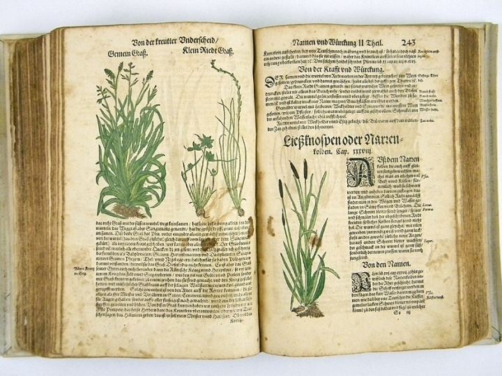 Hieronymus Bock HIERONYMUS BOCK KREUTTERBUCH HERBAL BOOK 1577