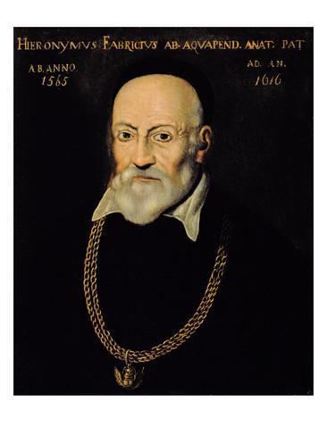 Hieronymus Fabricius Portrait of Hieronymus Fabricius Giclee Print by Italian