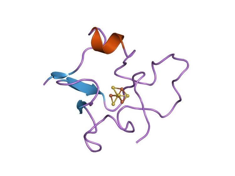 High potential iron-sulfur protein