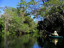 Hillsborough River (Florida) httpsuploadwikimediaorgwikipediacommonsthu