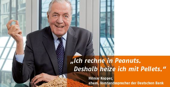 Hilmar Kopper Deutsches Pelletinstitut Berlin Das Institut