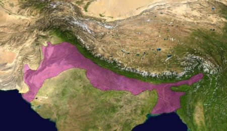 Himalayan foreland basin httpsuploadwikimediaorgwikipediacommonsthu