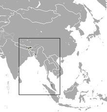 Himalayan mole httpsuploadwikimediaorgwikipediacommonsthu