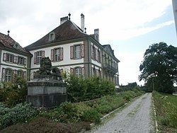 Hindelbank Castle httpsuploadwikimediaorgwikipediacommonsthu