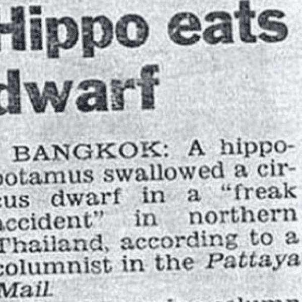 Hippo eats dwarf Hippo Eats Dwarf from FOD Wire