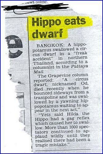 Hippo eats dwarf Hippo EATS Dwarf