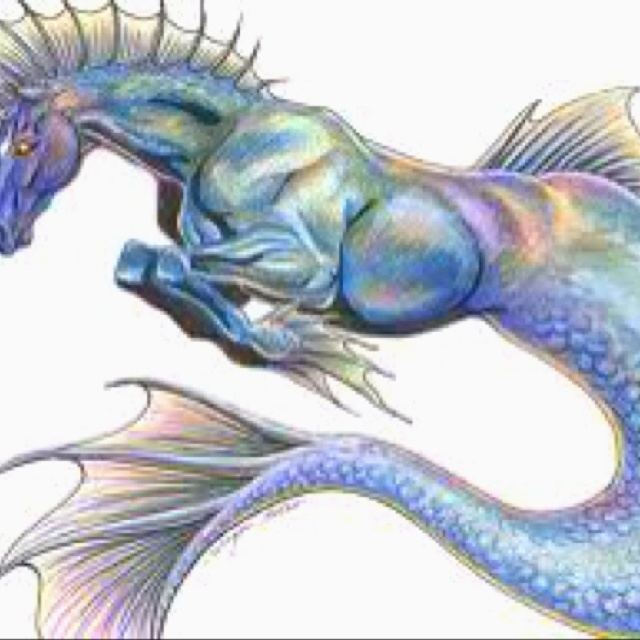 The iridescent color of the body of Hippocampus