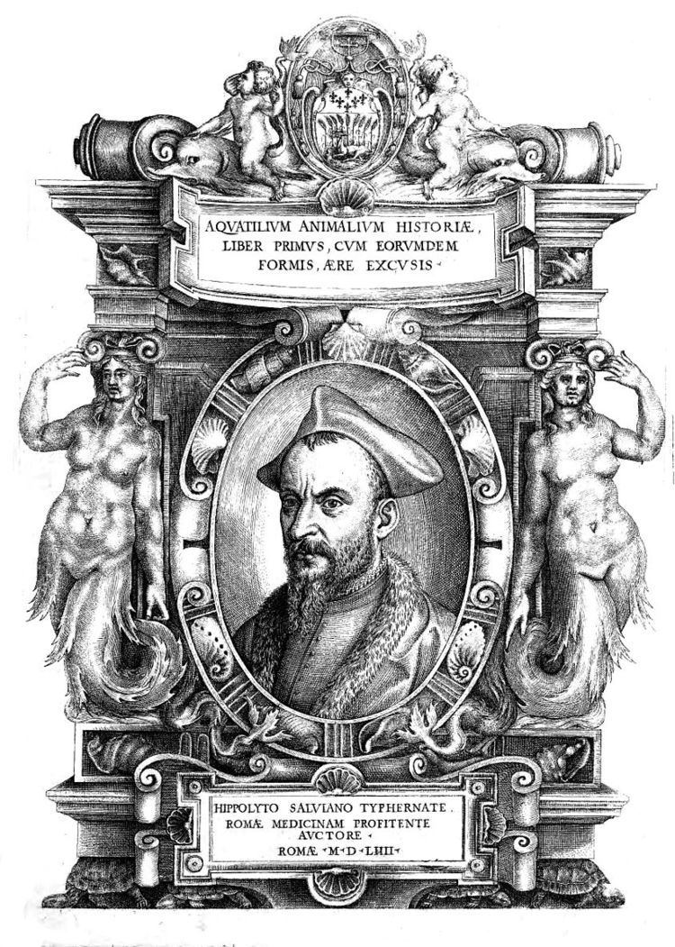 Hippolito Salviani