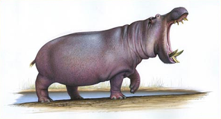 Hippopotamus antiquus Hippopotamus paleofilescom