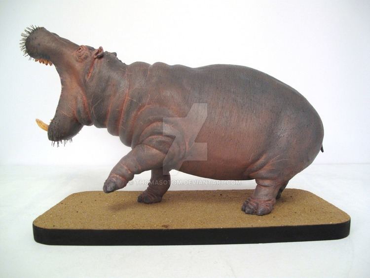 Hippopotamus antiquus img15deviantartnet1a64i201512251hippopota