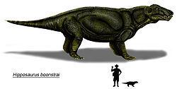 Hipposaurus httpsuploadwikimediaorgwikipediacommonsthu
