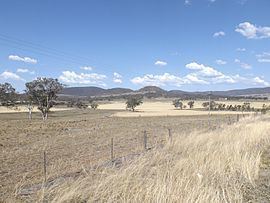 Hirstglen, Queensland httpsuploadwikimediaorgwikipediacommonsthu