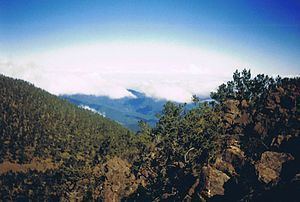 Hispaniolan pine forests httpsuploadwikimediaorgwikipediacommonsthu