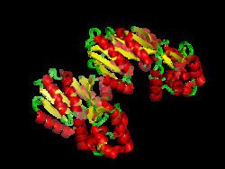 Histamine N-methyltransferase httpsuploadwikimediaorgwikipediacommonsthu