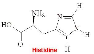 Histidine Histidine amino acid structure cbra