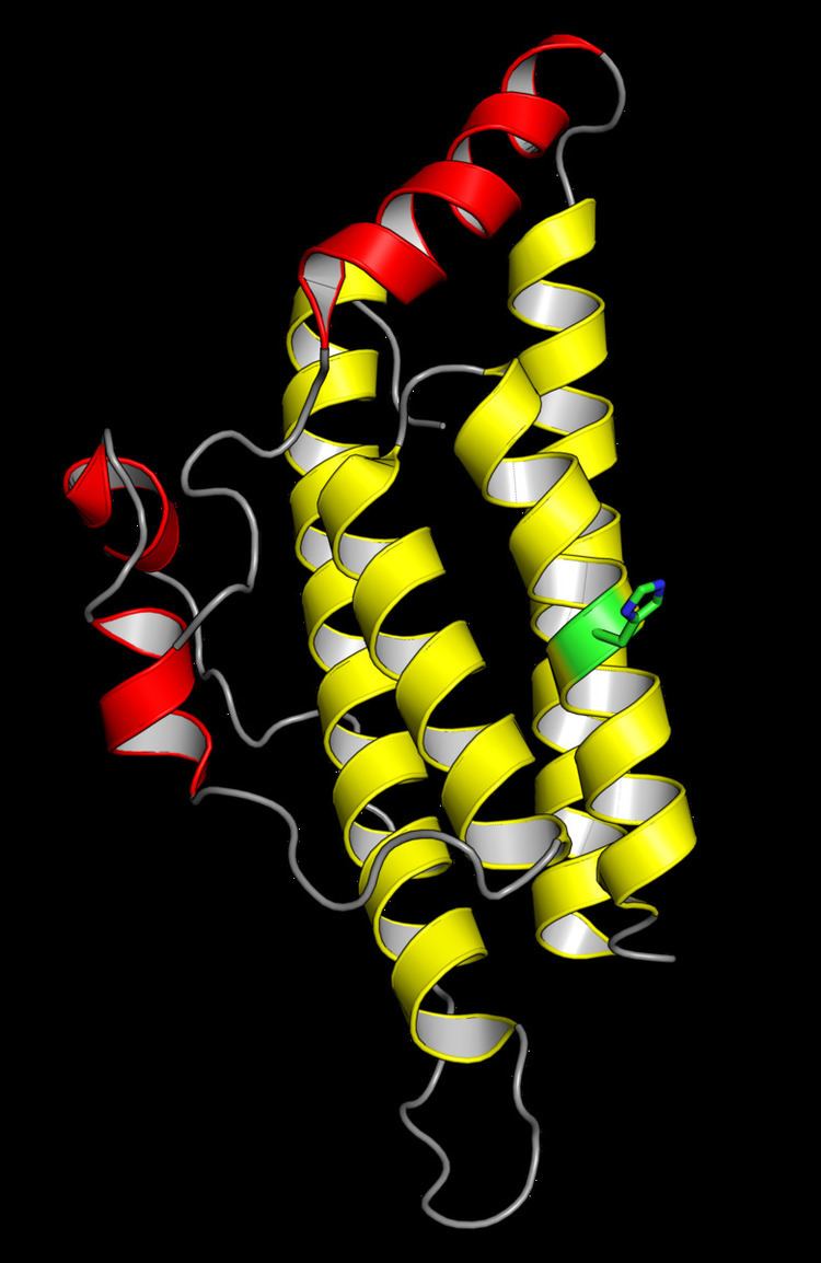 Histidine phosphotransfer domain