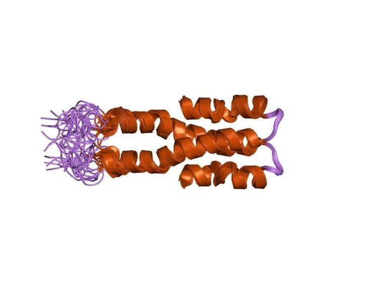 Histone-like nucleoid-structuring protein