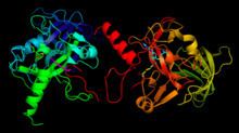 Histone methyltransferase httpsuploadwikimediaorgwikipediacommonsthu