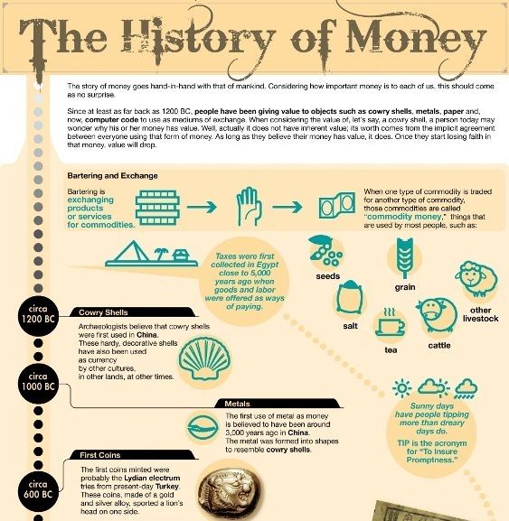History of money The History of Money Infographic