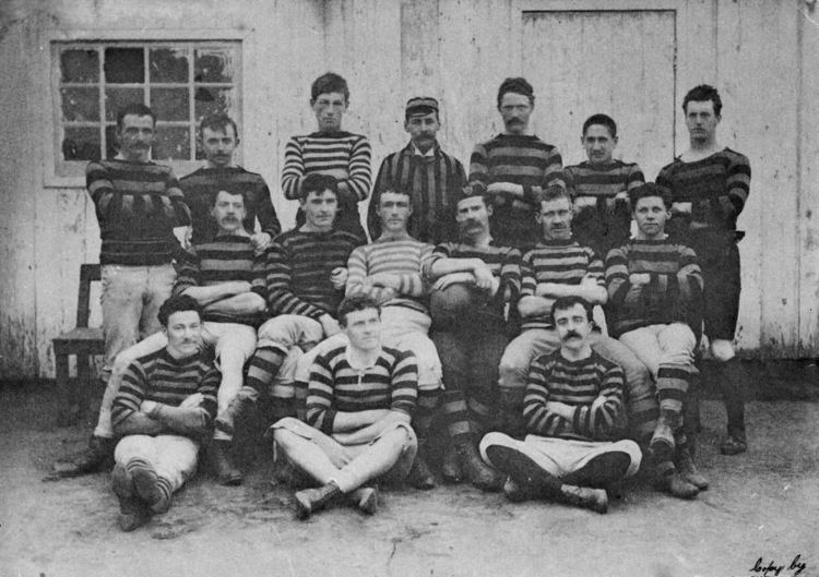 History of the Argentina national rugby union team
