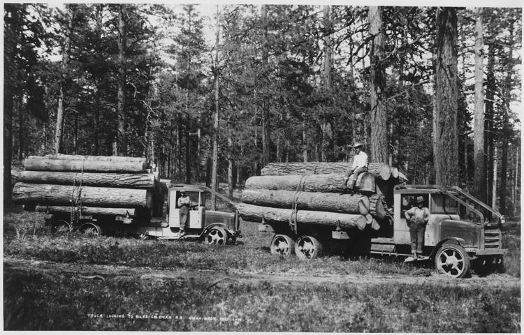 History of the lumber industry in the United States