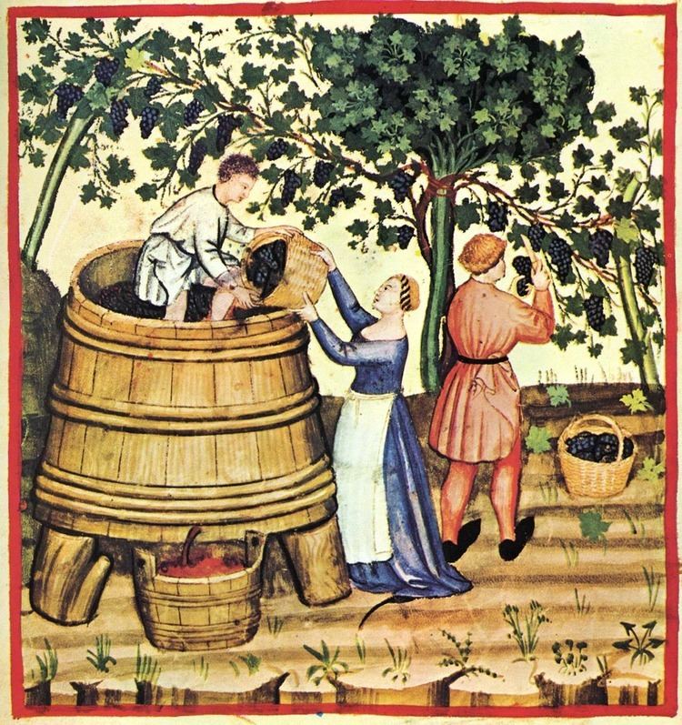History of the wine press