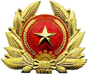 History of Vietnamese military ranks