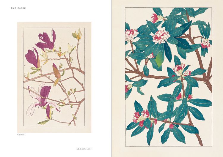 Hisui Sugiura HISUI SUGIURAA Pioneer of Japanese Graphic Design PIE International