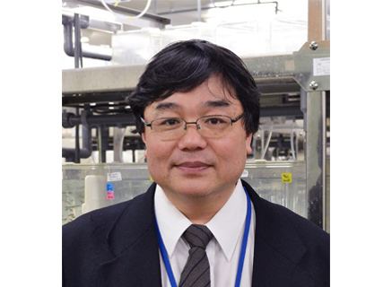 Hitoshi Okamoto Hitoshi Okamoto MD PhD Faculty Explorer RIKEN Brain
